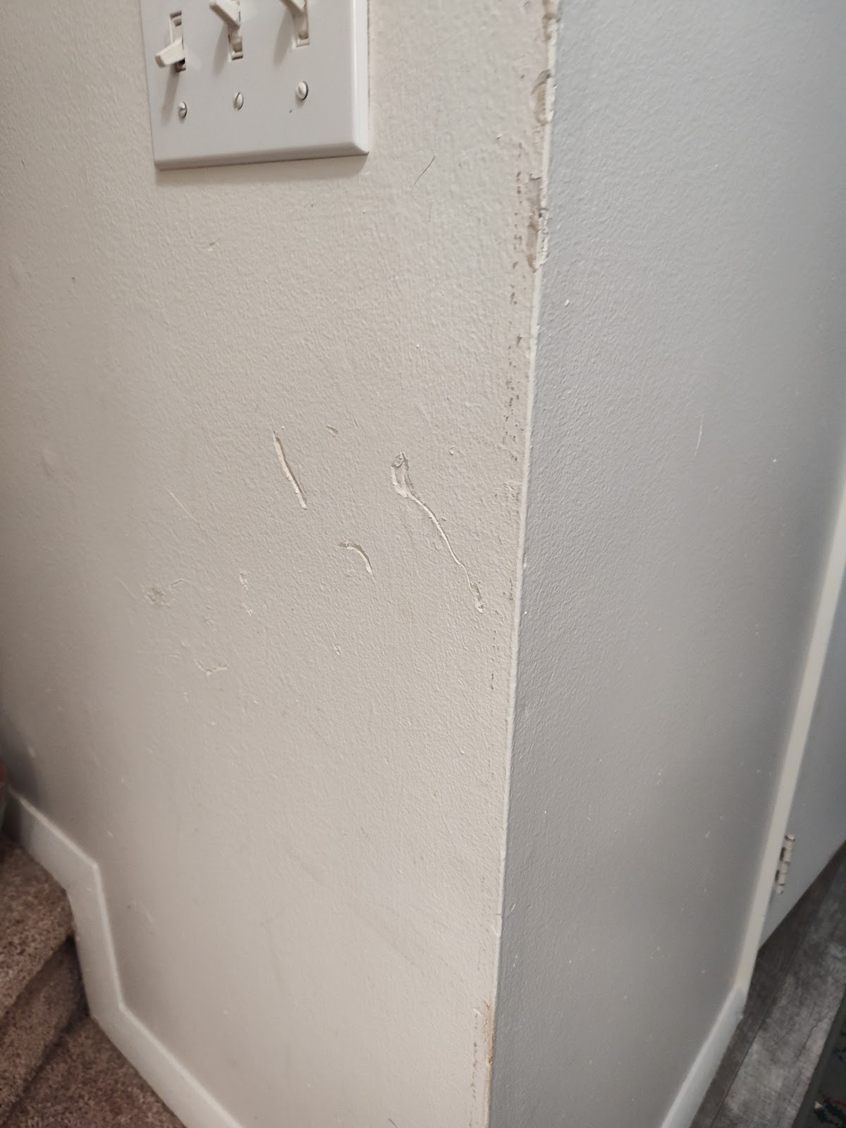 Repaired drywall corner, ready for paint