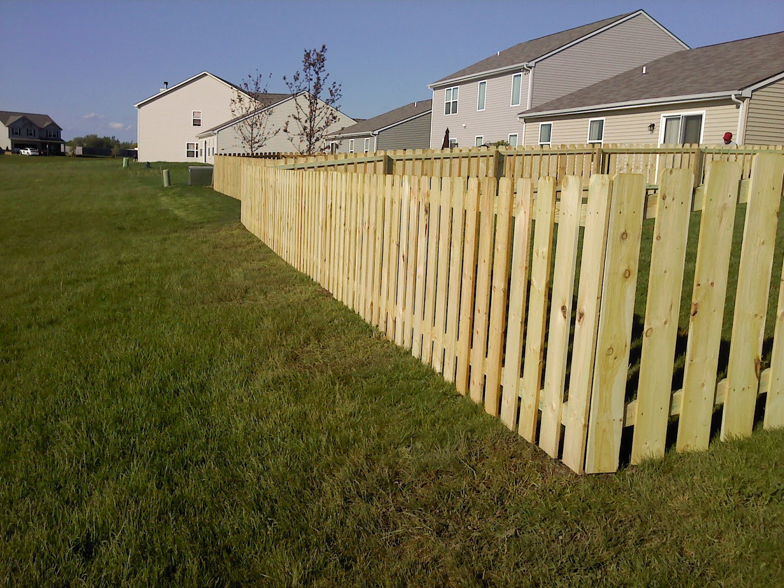 New cedar privacy fence at golden hour